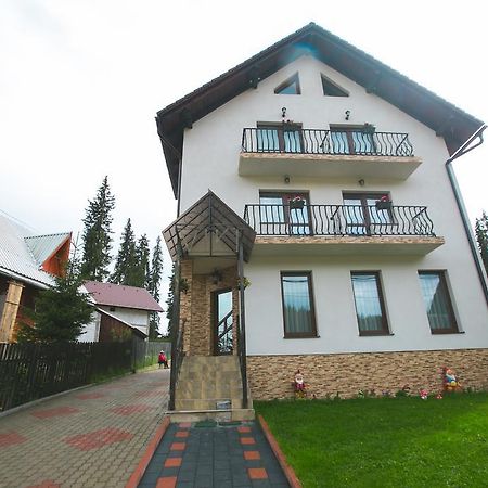 Pensiunea Viki Tau Bistra Bagian luar foto