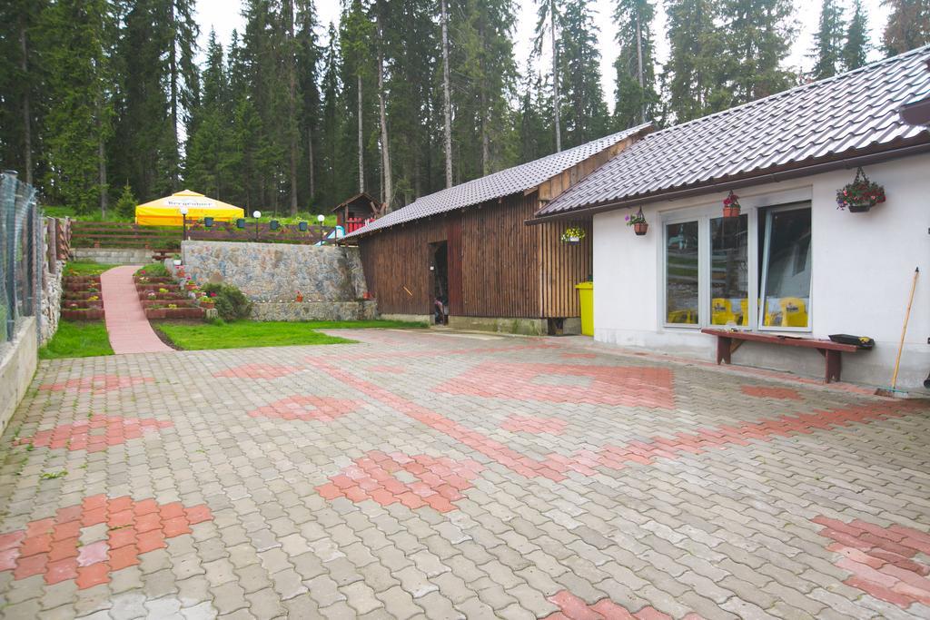 Pensiunea Viki Tau Bistra Bagian luar foto